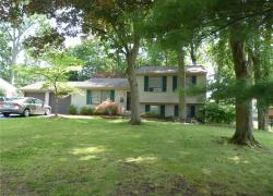 Comfortable tree shaded yard---Summer